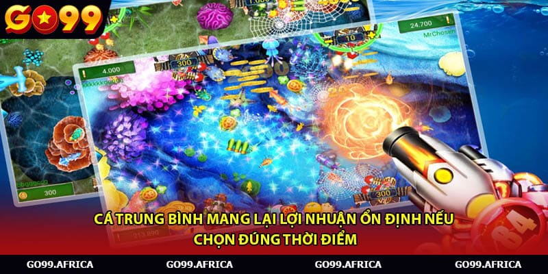 Cá trung bình mang lại lợi nhuận ổn định nếu chọn đúng thời điểm